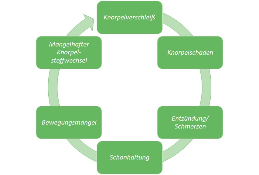 teufelskreis arthrose